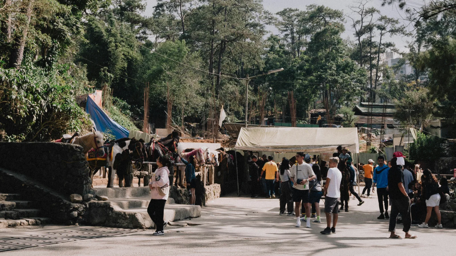 People walking beside a forest in Baguio