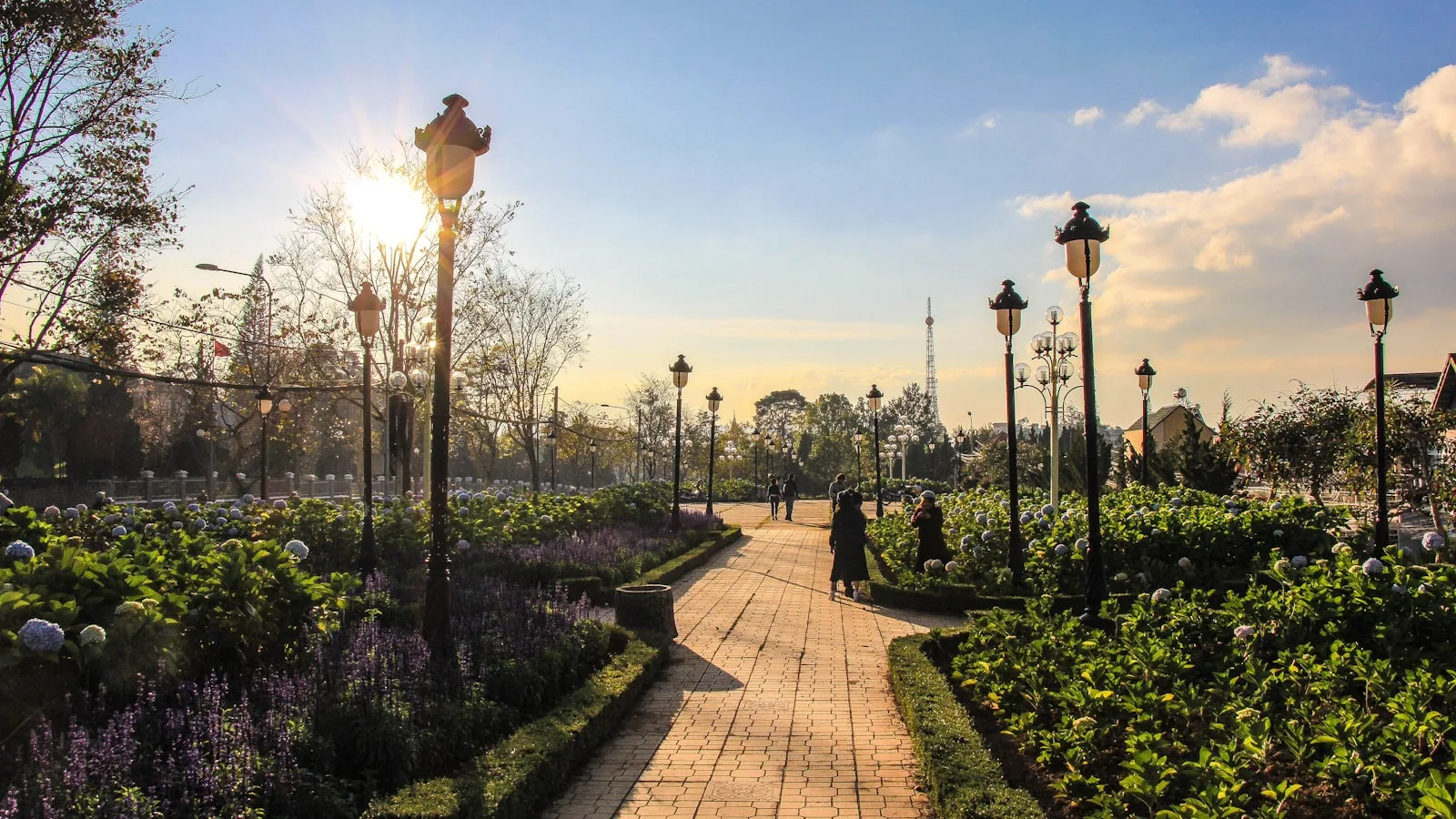 A park walkway in Da Lat