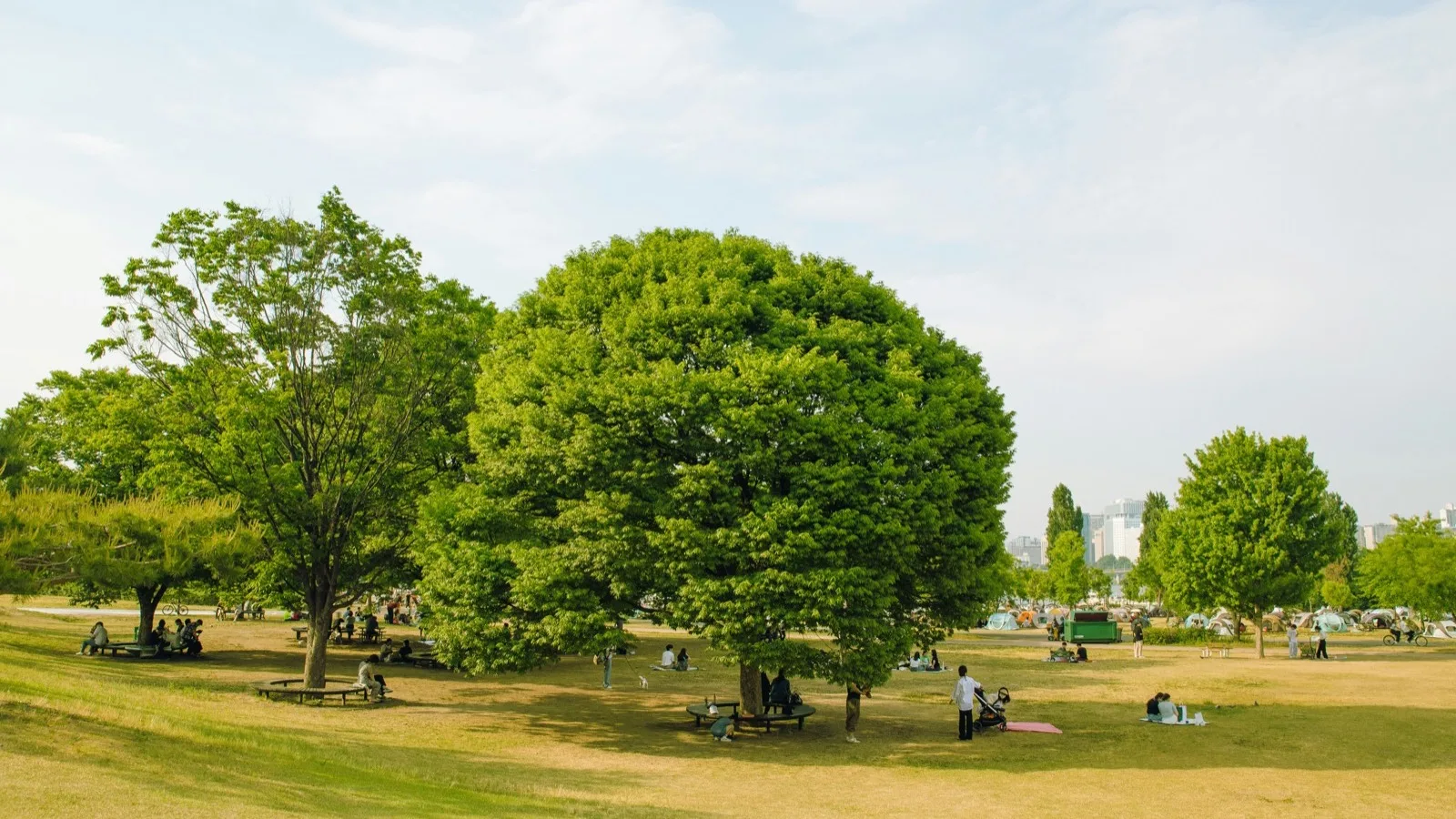 People sitting in a park in South Korea